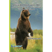 Artificial Bear Optimization (ABO): A New Approach of Metaheuristic Algorithm for Business Intelligence