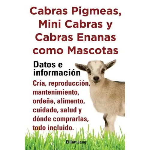 Cabras Pigmeas, Mini Cabras y Cabras Enanas Como Mascota. Datos E Informacion. Cria, Reprodu