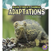 Rain Forest Animal Adaptations