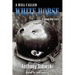 A hill called White Horse: A Korean War story