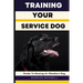 Training Your Service Dog: Guide to Raising an Obedient Dog