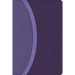 CSB Rainbow Study Bible, Purple Leathertouch (Limited Edition)
