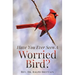Have You Ever Seen A Worried Bird?