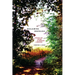 Reclaiming Nostalgia: Longing for Nature in American Literature /