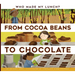 From Cocoa Beans to Chocolate
