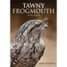 Tawny Frogmouth