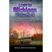 Lost In Michigan Volume 3: History and Travel Stories From An Endless Road Trip