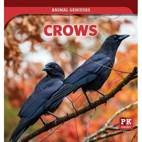 Crows
