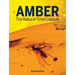 Amber: The Natural Time Capsule