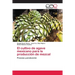El cultivo de agave mexicano para la producción de mezcal