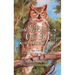 How Wise Old Owl Got His Name
