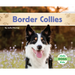 Border Collies