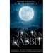 Run, Run Rabbit
