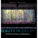 Beauty in Decay: Photos from Chernobyl