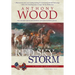 Red Sky Storm: A Story of the Civil War