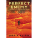 Perfect Enemy: A Jake Rush Sci-Fi Techno-Military Thriller