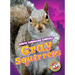 Gray Squirrels