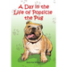 A Day in the Life of Popsicle the Pug