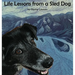 Life Lessons from a Sled Dog