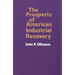 The Prospects of American Industrial Recovery