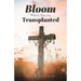 Bloom Where You Are Translanted
