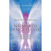 Practica Divina de Los Numeros Angelicos, La