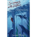 Swimming with Dolphins