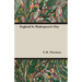 England In Shakespeare's Day