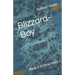 Blizzard-Boy: Book I: A New Hero
