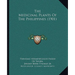 The Medicinal Plants Of The Philippines (1901)