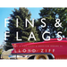 Fins & Flags: Photographs of Cadillacs & American Dreams