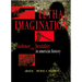 Lethal Imagination: Violence and Brutality in American History