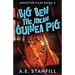 Big Ben The Mean Guinea Pig