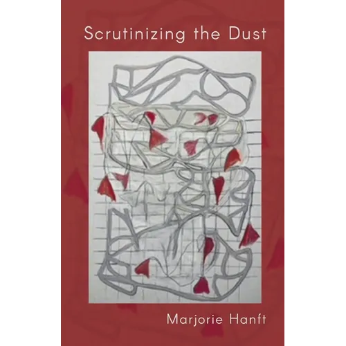 Scrutinizing the Dust