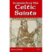 In Search of the Celtic Saints