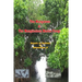 The Mangroves & The Manglicolous Marine Fungi