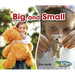 Big and Small