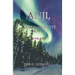 Anji,: A Dakota Hunt Novel - Book Two