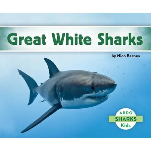 Great White Sharks