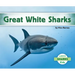 Great White Sharks