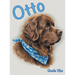 Otto