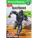 This Is Black Panther