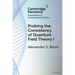 Probing the Consistency of Quantum Field Theory I
