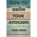 How To Grow Your Avocado