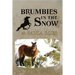 Brumbies in the Snow
