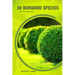 30 Boxwood species: Make the right choice