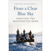 From a Clear Blue Sky: Surviving the Mountbatten Bomb