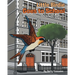 Little Birdie Goes to School: A Story Based on True Events
