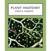 Plant Anatomy