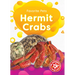 Hermit Crabs